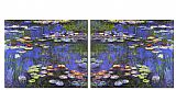 Water Lilies set by landscape